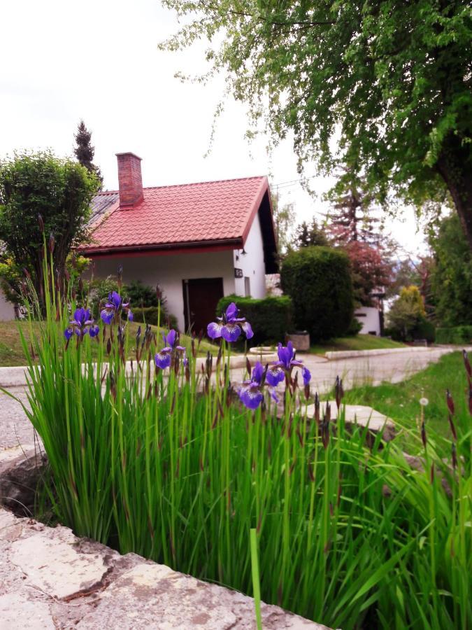 Centrum Wypoczynku Odys Hotel Tresna Exterior foto